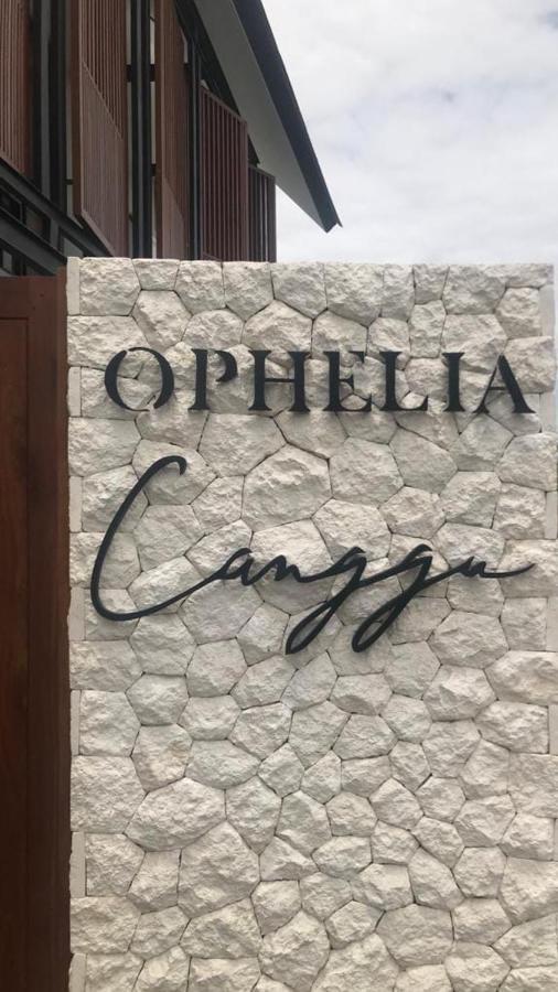 Ophelia Villa Canggu Buitenkant foto